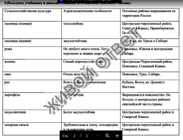 Зональная специализация сельского хозяйства широколиственных лесов. Используя карты атласа определите специализацию сельского. Таблица северо запад география 9 класс. Таблица по отраслям животноводства. Таблица зональная специализация сельского хозяйства по географии 9.
