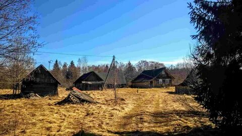 Хутор в лесу