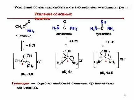 Мочевина органическая кислота