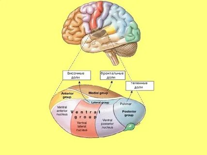 Интегрированные ядра