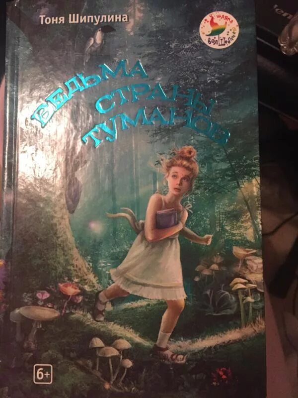 Хорошая ведьма книга. Ведьма страны туманов. маленькая ведьмочка книга. книга странная ведьма. книги про ведьм.