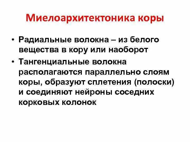 Схема строения клубочка зернистого слоя коры мозжечка. Лубяные волокна коры липы. Ассоциативные волокна связывают. Волокна коры. Длинные ассоциативные волокна.