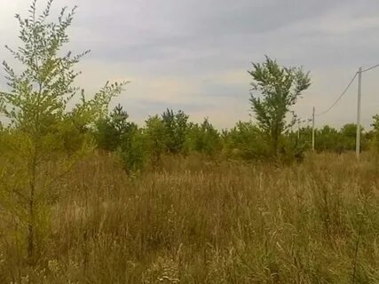 Самарская область аренда земель