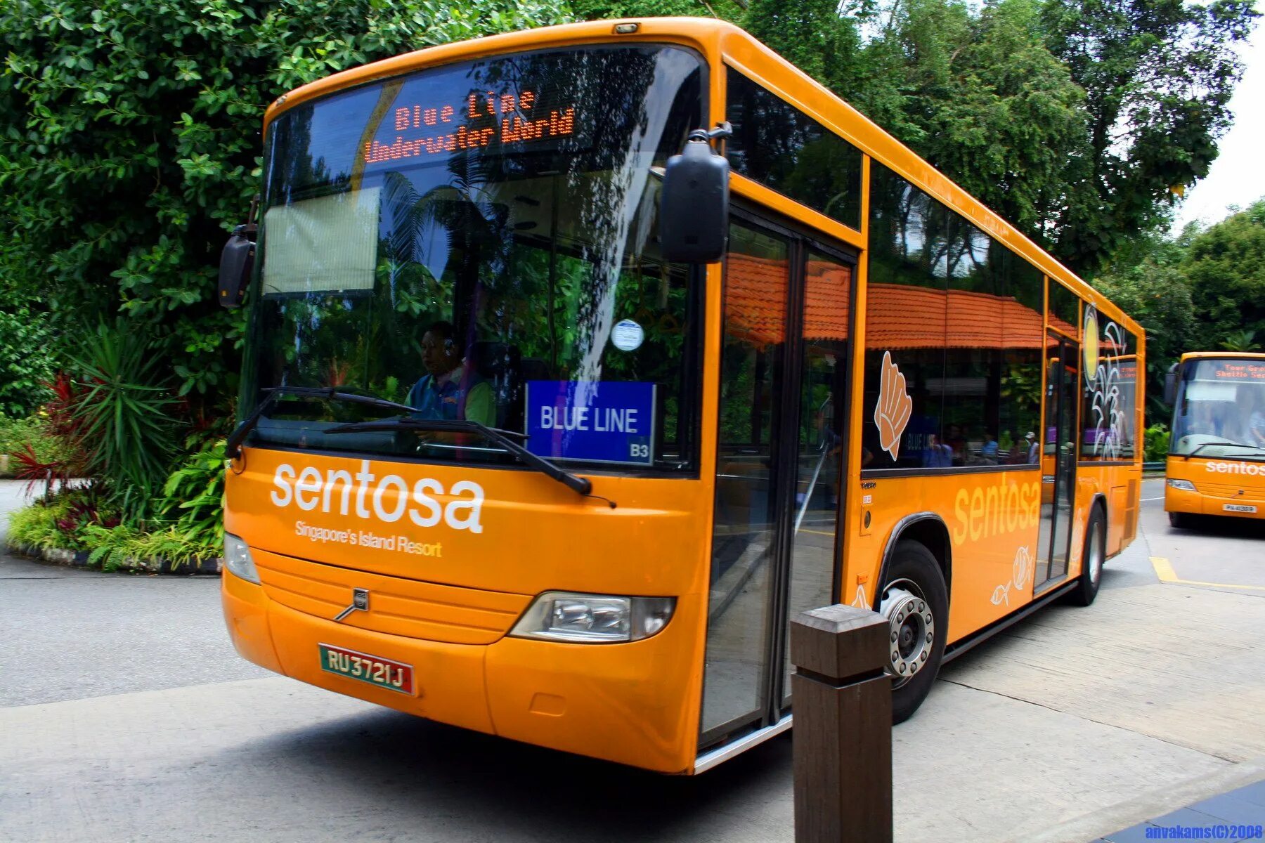 Линия общественного транспорта. Синий автобус. Голубой автобус. Автобусы Blue line. Автобус оранжевый синий.