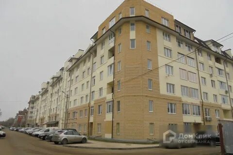 Большевистская 29