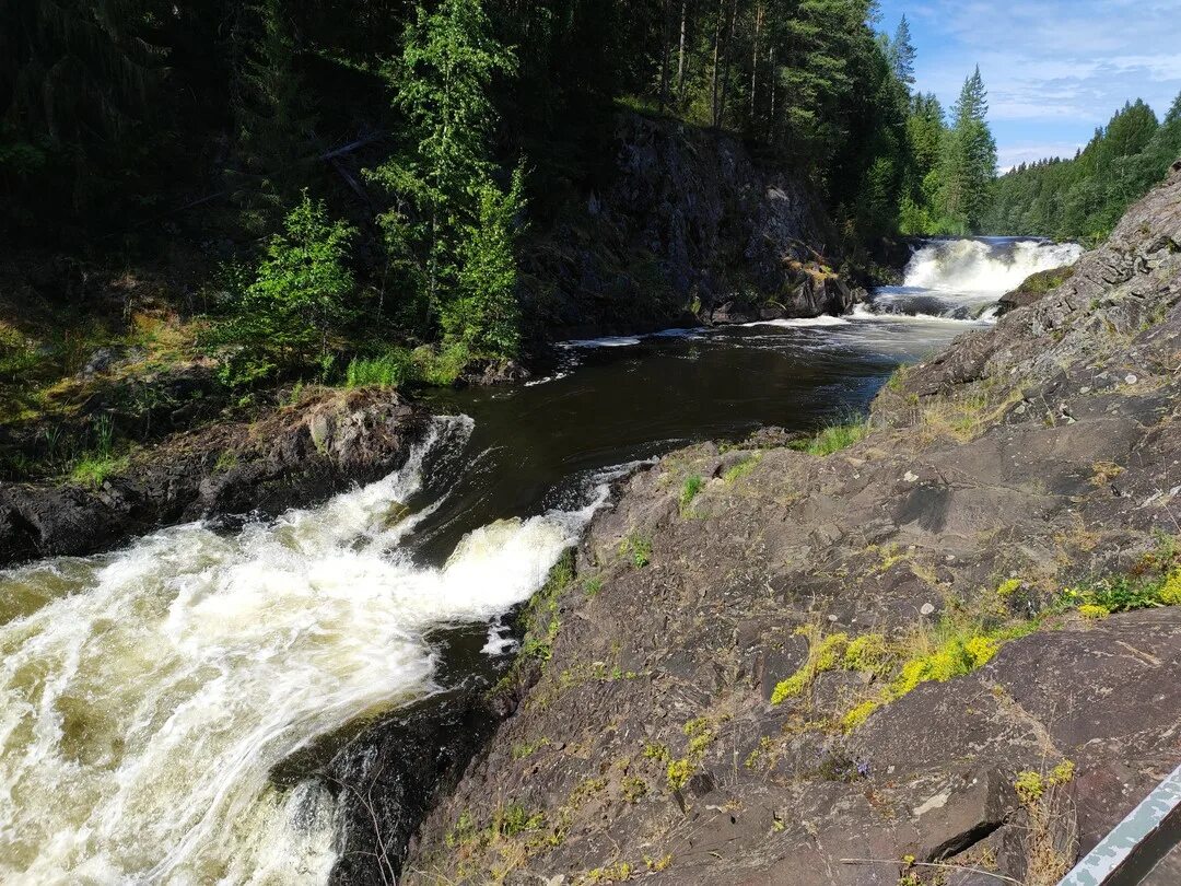 Водопад Кивач и Марциальные воды. Водопад Кивач смешно. Водопад Кивач большой комар. Петрозаводск экскурсии на день