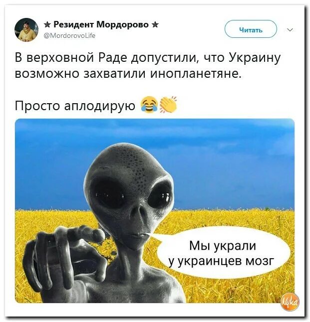 Мозги украду. Хохлы воруют.