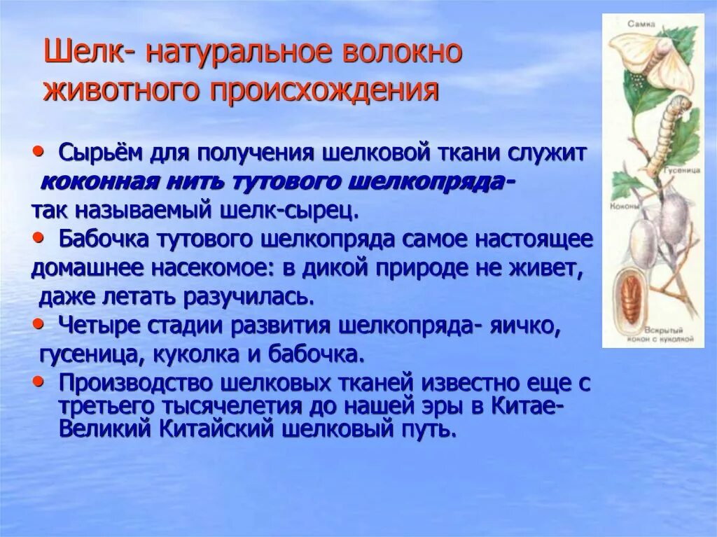 Производства натуральных волокон. Возникновение шëлка. Ткани из натуральных волокон животного происхождения. Сообщение о шелке. Информация про шелк.