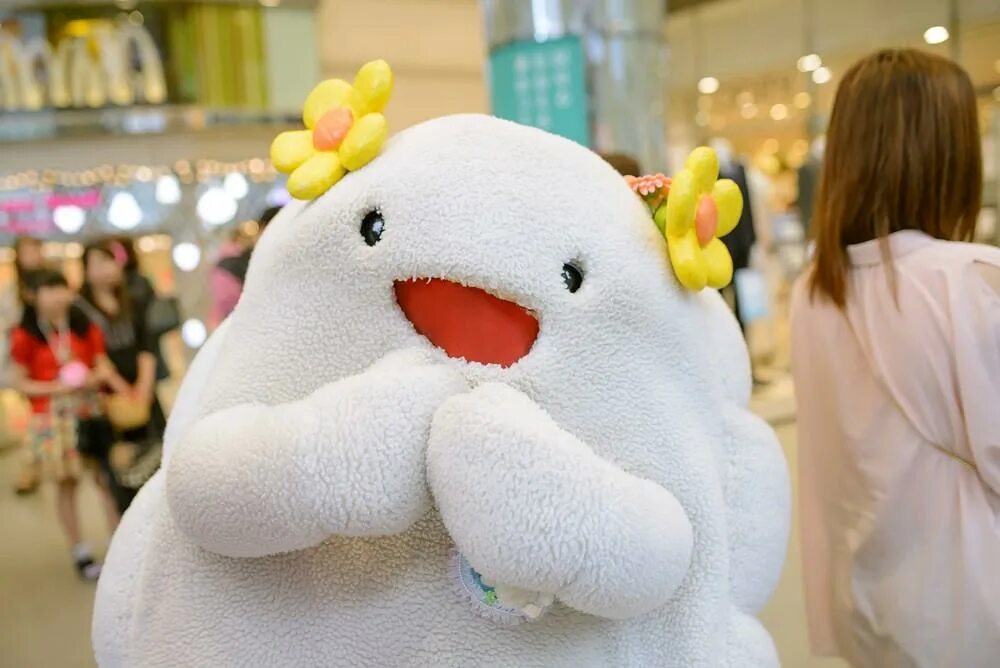 Японцы и кошки. Японские странности. Японские футбольные фанаты. Странности японии. Веселые сумоисты.