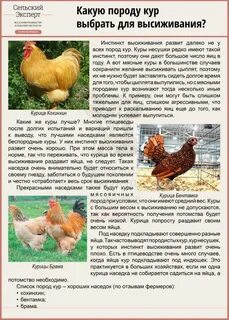 Как выбрать курочку