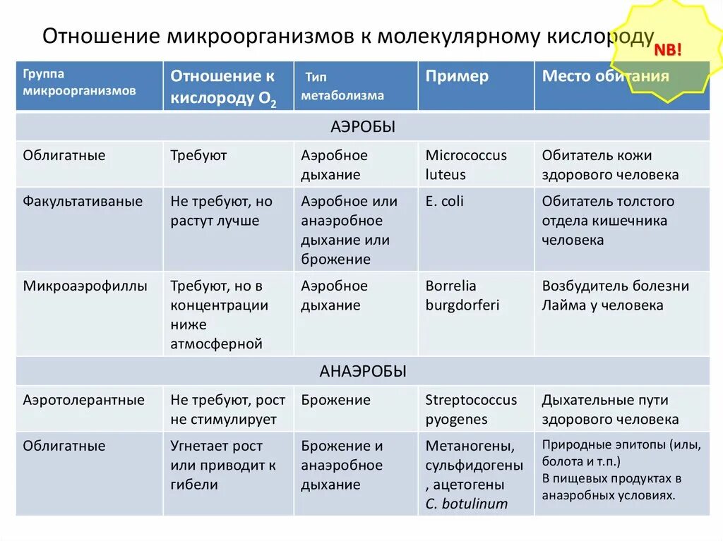 Примеры групп бактерий. Аэробы и анаэробы примеры. Аэробные и анаэробные бактерии примеры. Анаэробы примеры бактерий. Характеристика анаэробных и аэробных бактерий.