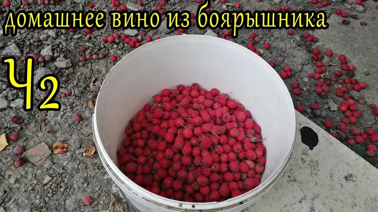 How to make Homemade WINE from JAM - YouTube