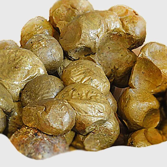 Прополис пчелиный 10гр. Прополис. Прополис. Прополис цвет. Уза прополиса это.