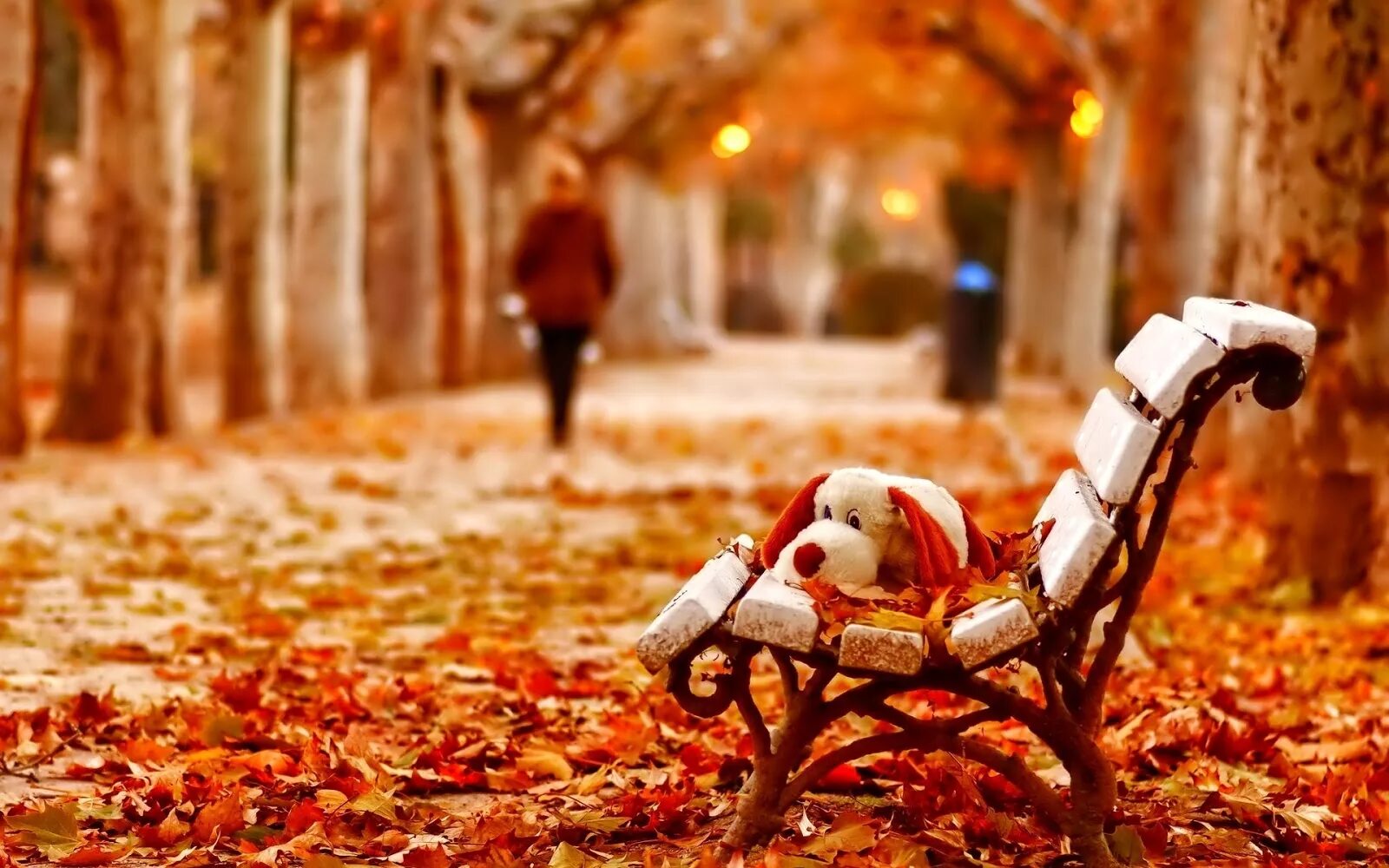 Осень грустит. Осеннее настроение. Осенняя хандра. Осень скамейка. Осень хандра.