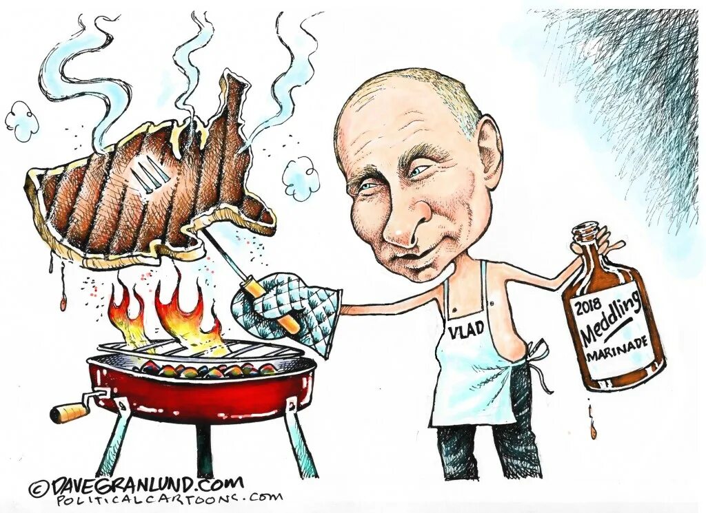 Выборы будут жаркими. Шашлык карикатура. Карикатуры на поваров. Шарж шашлык.