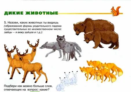 8 поисковых запросов на тему дикие животные