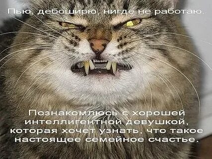 Прям таю