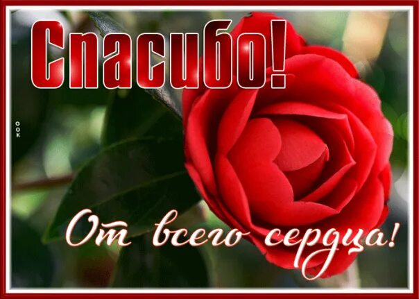 Вчера спасибо