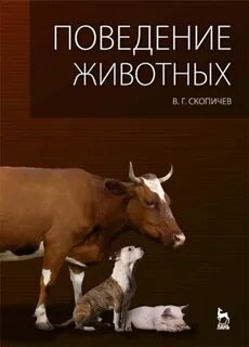 4 социальное поведение животных
