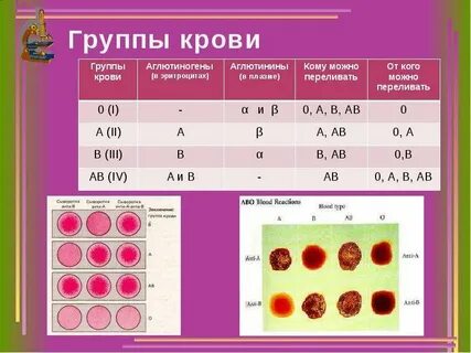1 2 года это какая группа