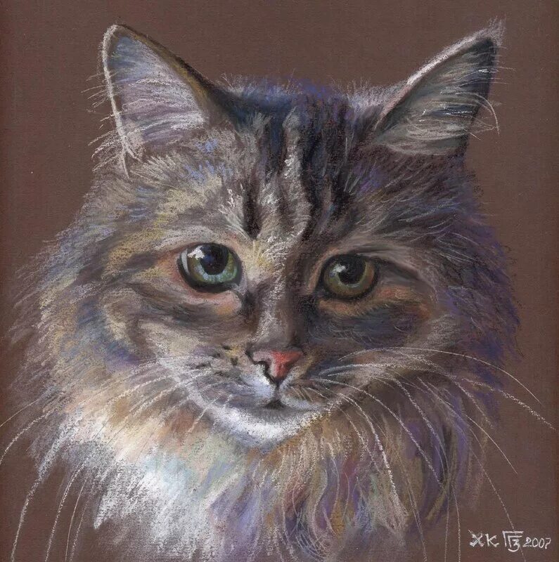 картины цветными карандашами. пушистый кот. портрет домашнего питомца кошки. портрет кота. портрет кошки.