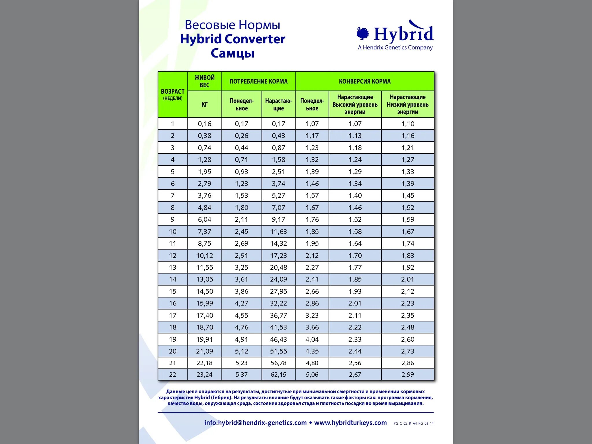 Хайбрид конвертер характеристика. Таблица кормления бройлеров индюков. Таблица веса индейки Хайбрид. Таблица роста и веса индюшат Хайбрид. Таблица веса индюков Хайбрид.