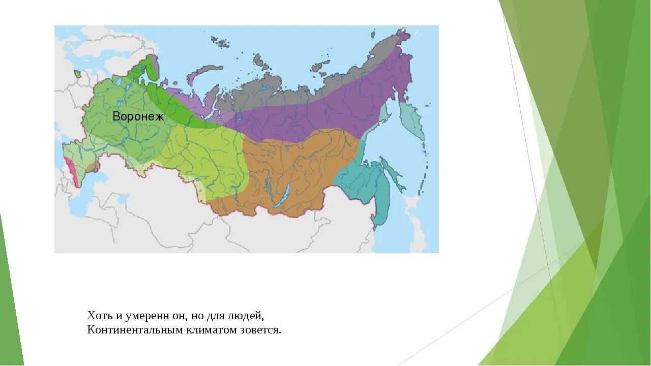 Умеренный климатический пояс Евразии. Умеренно континентальный пояс России. Климатические пояса России. Карта климатических поясов России.