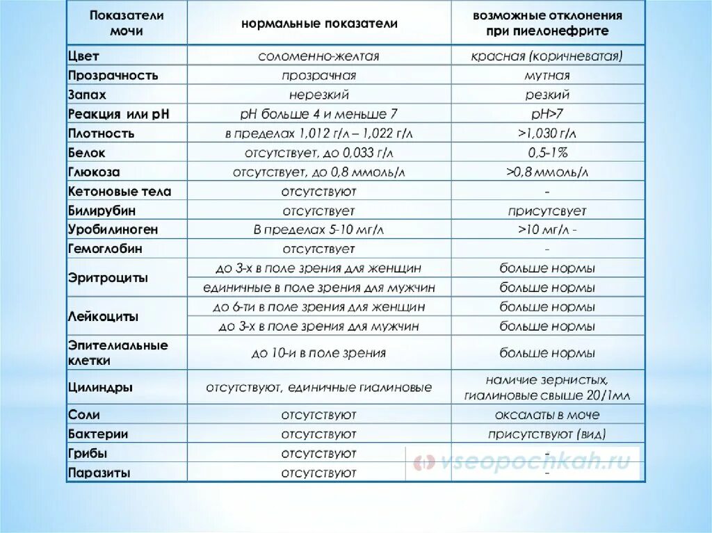 Анализ мочи при пиелонефрите показатели. Общий анализ мочи при пиелонефрите показатели. Анализ мочи при пиелонефрите показатели у женщин. Показатели мочи при хроническом пиелонефрите.
