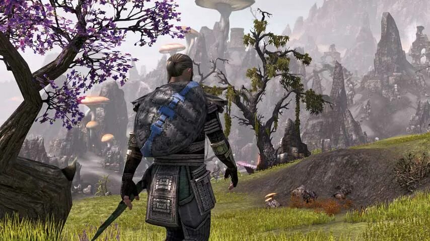 Multiplayer open world
