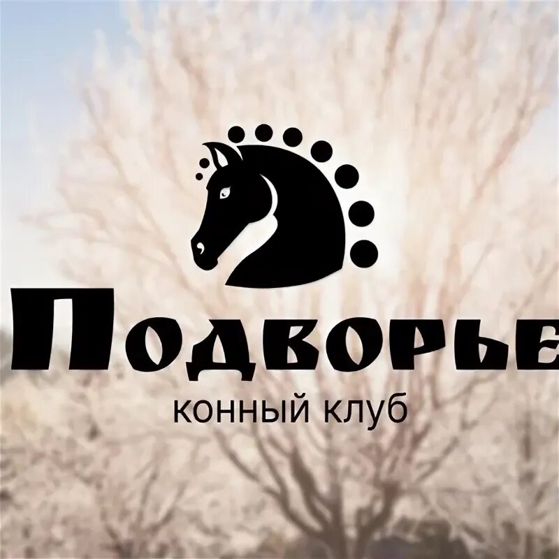 Клуб подворье. Грачикофф подворье. Ждановское подворье конно спортивный комплекс. Кафе подворье смышляевка. Кафе при грузинской церкви.