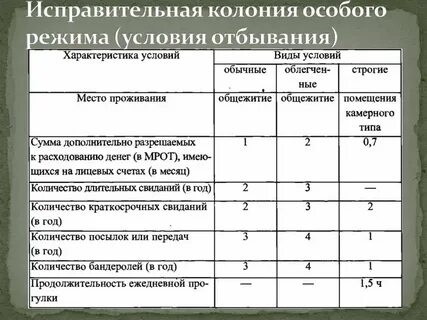 Условия содержания