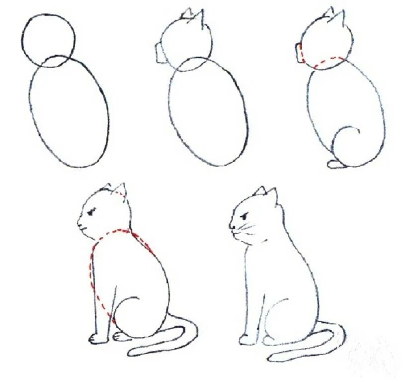 Пошаговые рисунки. Схема рисования кошки. Поэ апное рисование кошки. Поэтапный рисунок кошки. Как нарисовать кота поэтапно для детей
