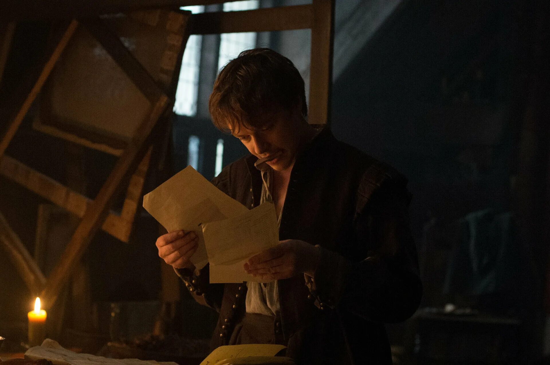 тюльпанная лихорадка 2017