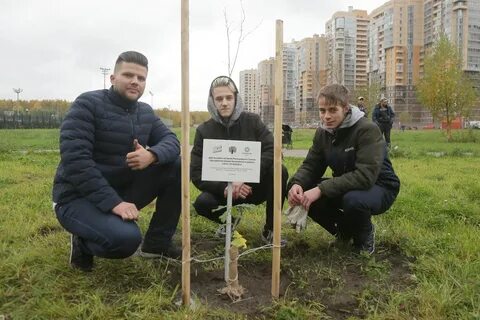 Сайт дубков