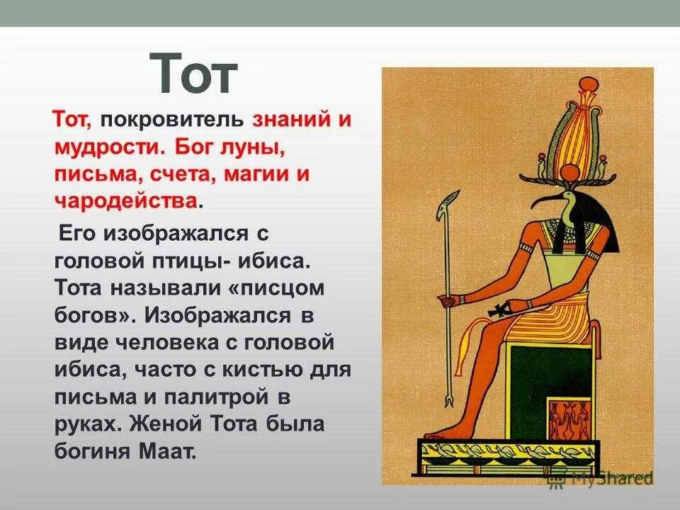 Совсем не бог бог. Бог ибис в древнем египте. бог тот в древнем египте. бог мудрости и врачевания в древнем египте. бог мудрости в египте.