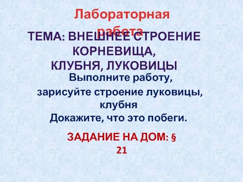 Лабораторная работа внешнее строение клубня и луковицы. Клубень и луковица лабораторная работа. лабораторная работа строение луковицы клубня корневища. лабораторная работа корневище. лабораторная работа внешнее строение корневища клубня и луковицы.