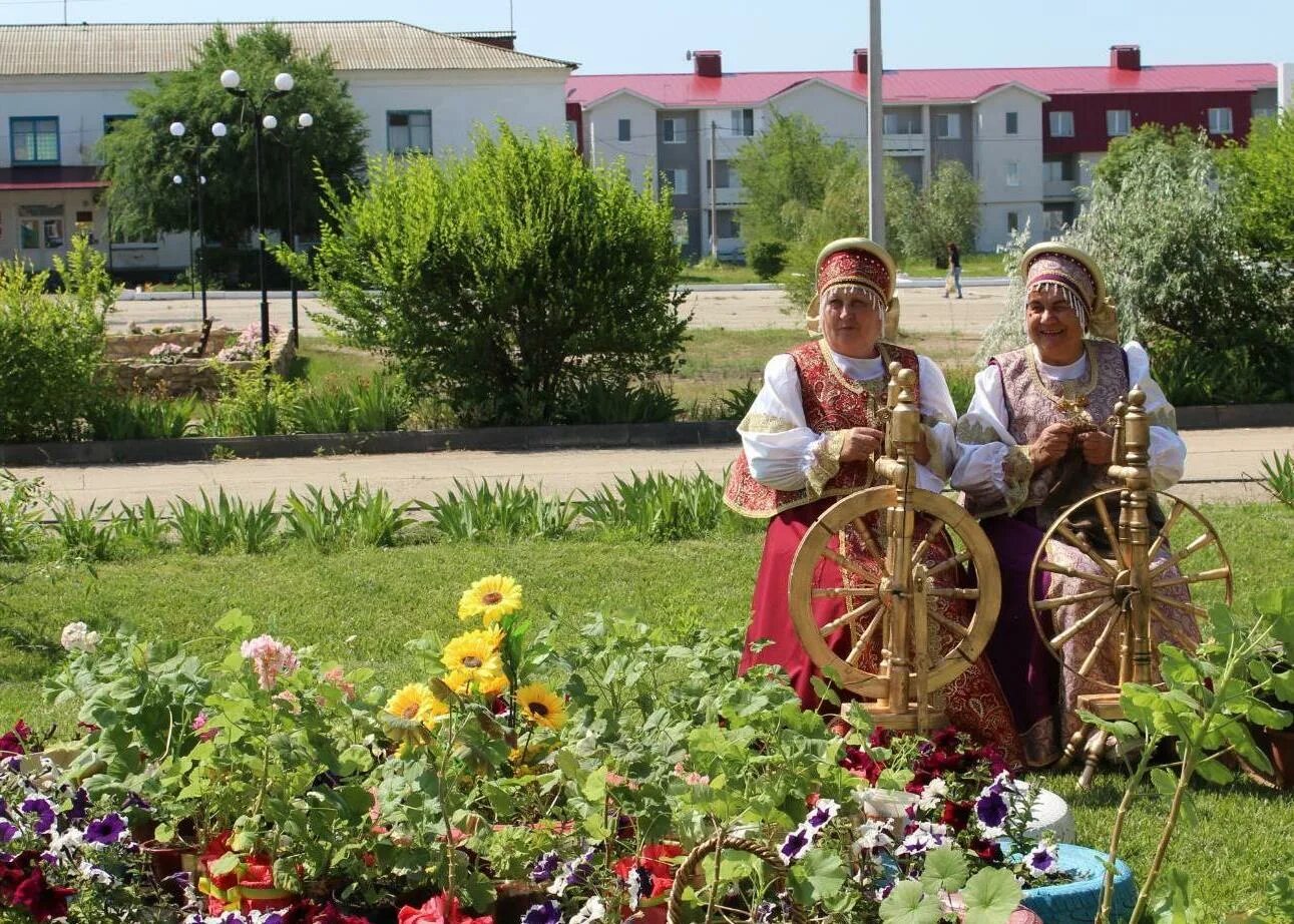 Принимали участие всех возрастов. Краснопартизанский район. Краснопартизанский район Саратовская область. КЦСОН Краснопартизанского района Саратовской области. Бабушкина герань.