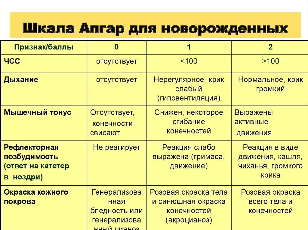 Шкала после рождения