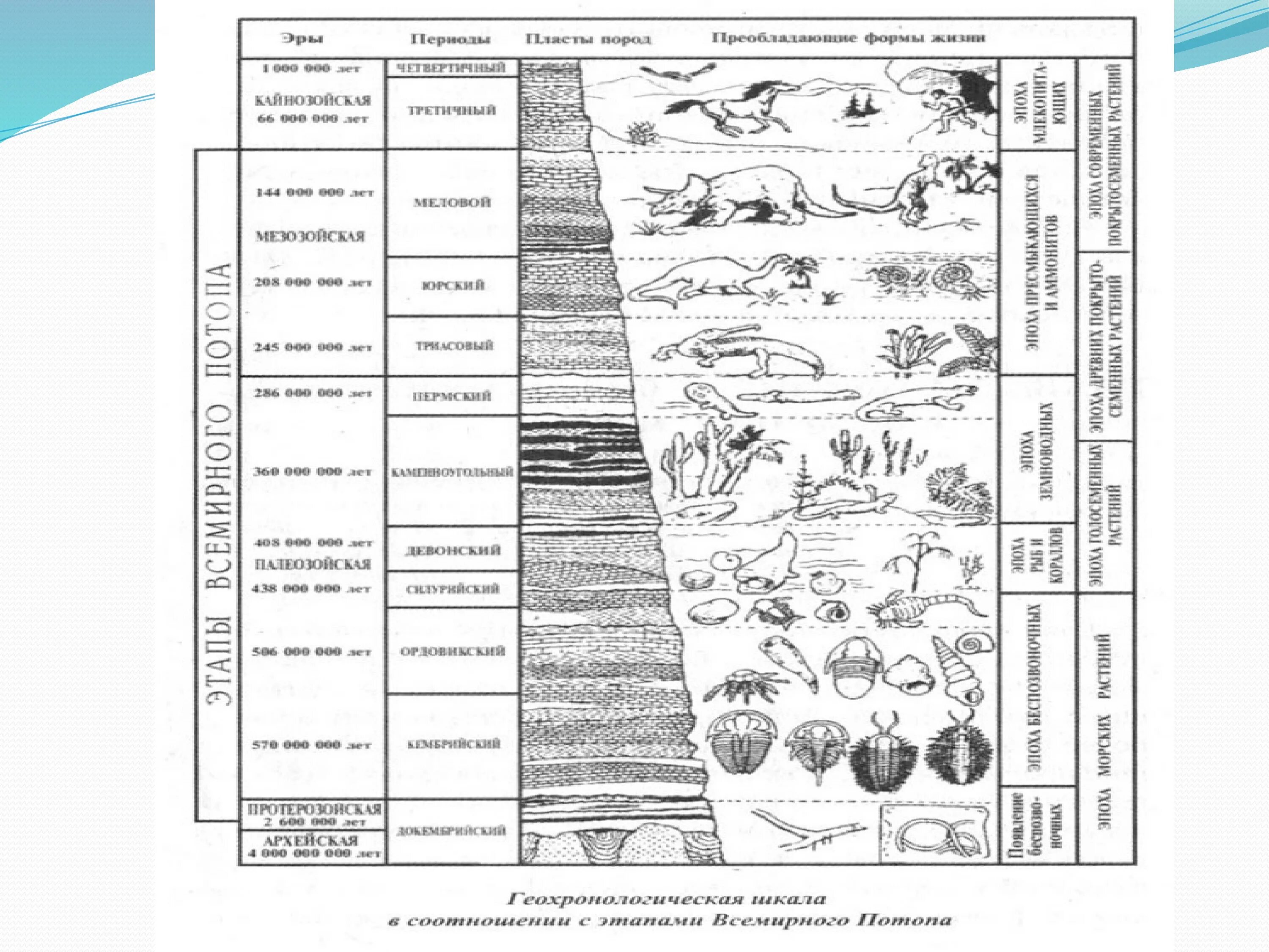 Геохронологическая таблица биология 11 класс. Этапы развития жизни на земле по Эрам. Возникновение жизни на земле эры и периоды. Схема развития жизни.