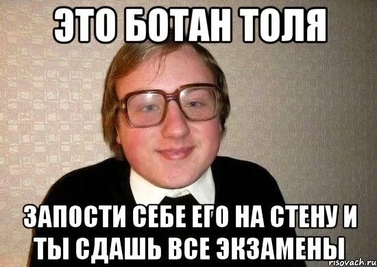Что значит толя