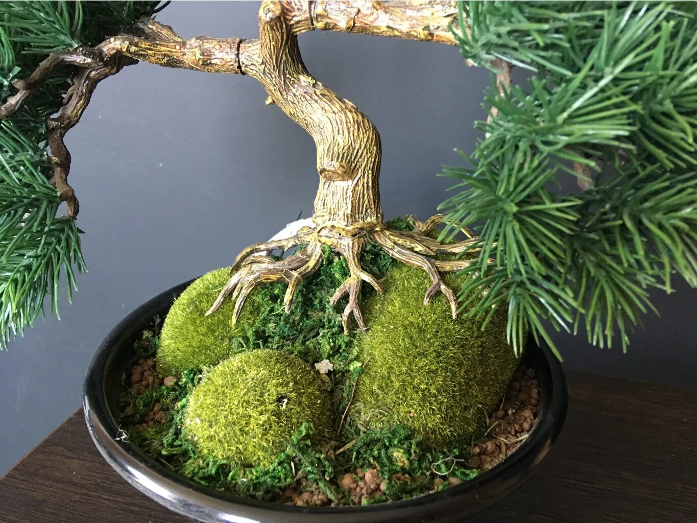 Крассула толстянка бонсай. Самшит ниваки. Можжевельник мейери ниваки. Придать форму дереву. Ива шаровидная аллея.