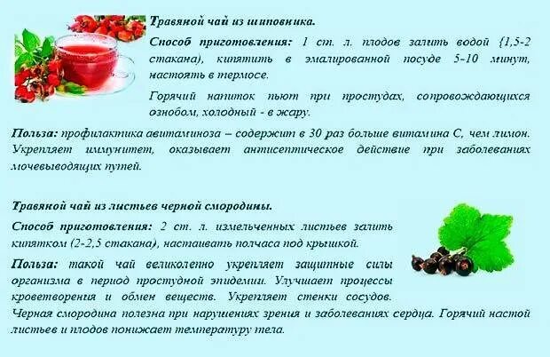 Можно беременным шиповник пить. Отвар шиповника при беременности. Отвар шиповника для беременных. Шиповник при беременности можно ли пить. Отвар шиповника.