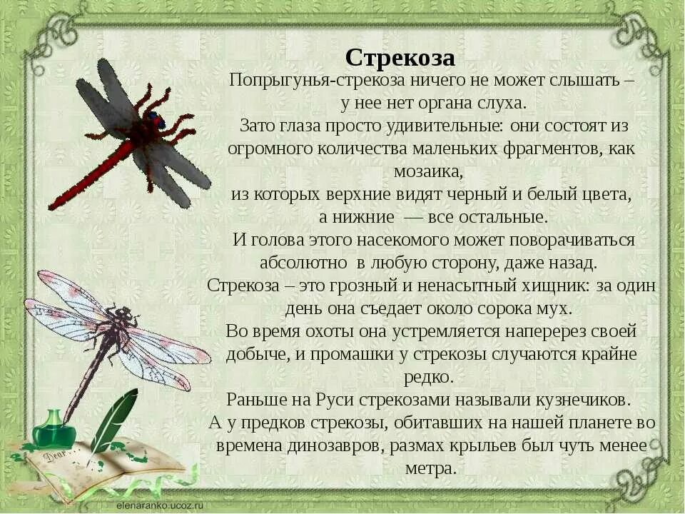 Аудиосказка про насекомых