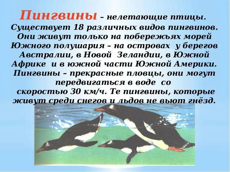Удивительные факты о пингвинах. Проект про пингвинов. Пингвинус. Зачем пингвину крылья. Smack the penguin.