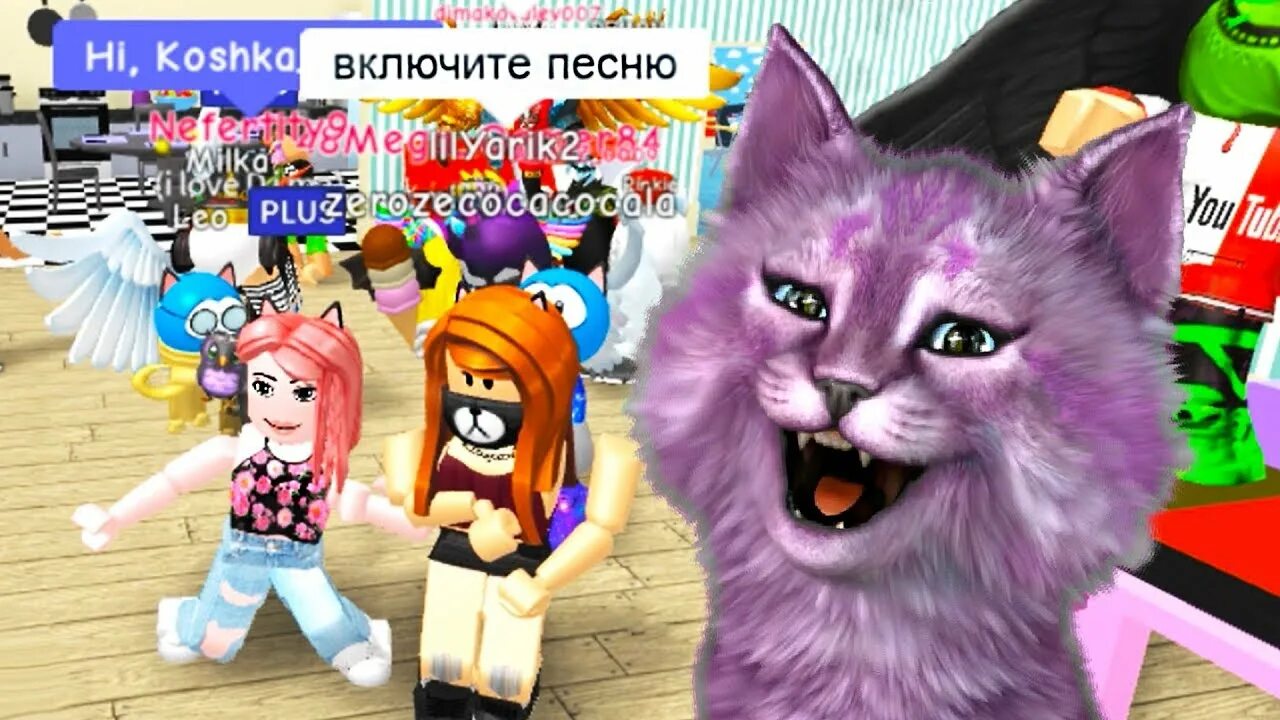 Включи кошку лану играет