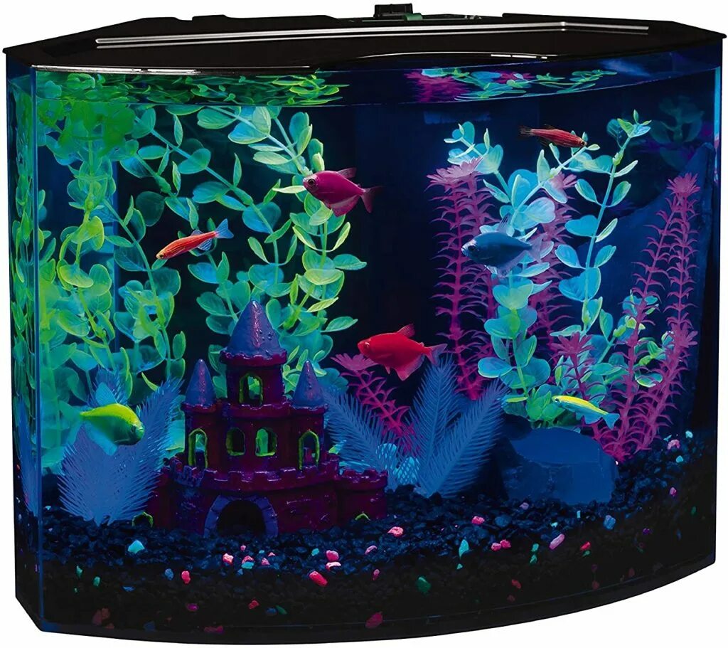 Аквариум 20 литров Glofish рыбки. Tetra Glofish декорация. Глоу Фиш в аквариуме. Гло Фиш аквариум 200л. Большом аквариуме рыбок 10