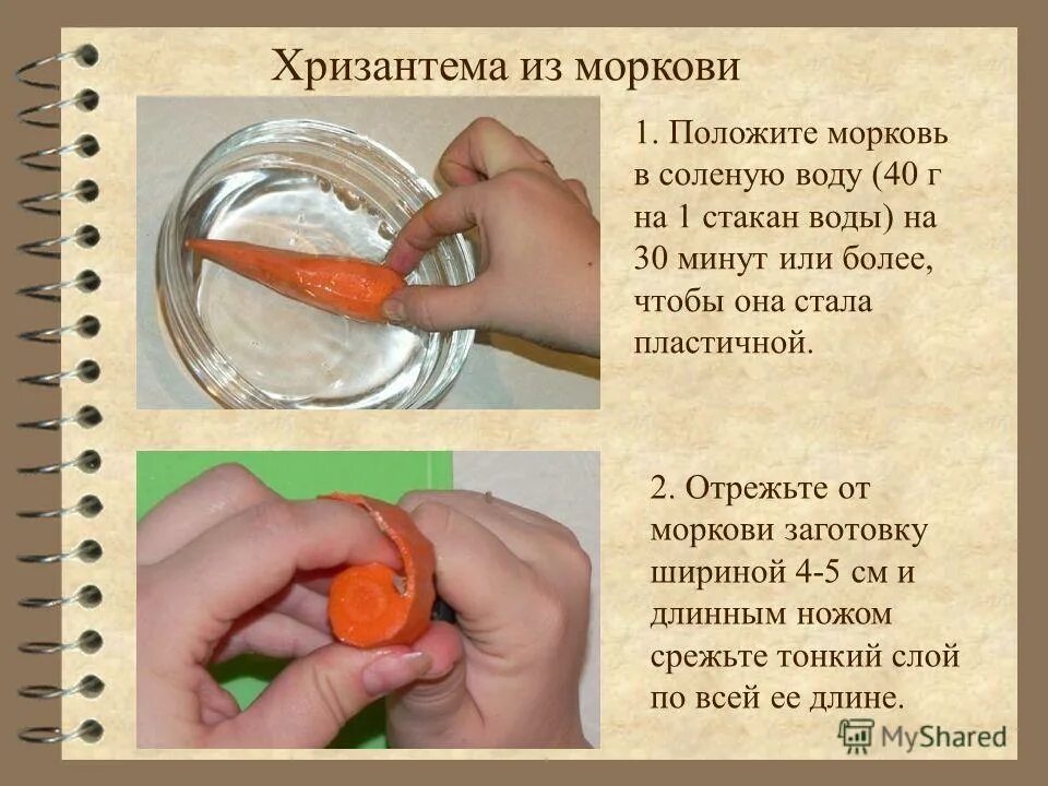 Что происходит с морковкой в воде. Опыты с морковью. опыт с морковью и солью. опыт с марковкой в солёной воде. опыт с морковью в воде.