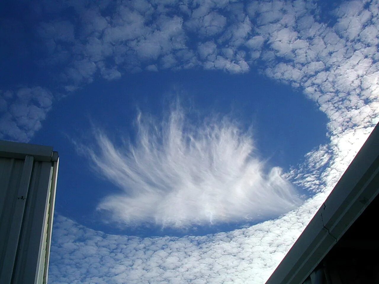 Как выглядит облако. Эффект Fallstreak. Эффект Fallstreak облака. Вирга атмосферное явление. Необычные облака - эффект Fallstreak.