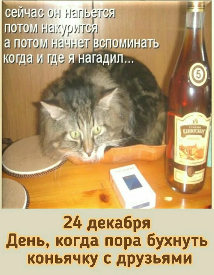Почему пьянеешь от вина