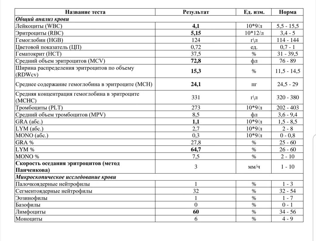 ОАК анализ. Общий анализ крови WBC. ОАК состав. Общий анализ крови WBC норма.